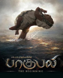 多语言支持的ddos在线攻击测试网站